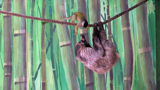 Дерзкое преступление! Смеялся до слез!