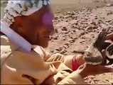Superb job by an old man kisses snake like his wife