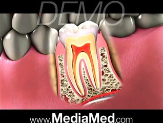 Great Dentist Video