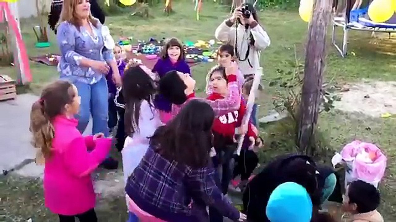 Bats  Balls Fail Compilation