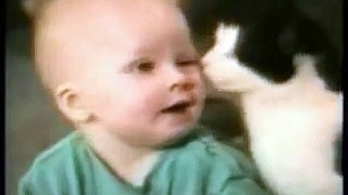 Funny Cat Clips - With Added Sound Effects -