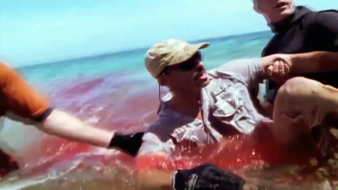 Top 5 Amazing Shark Attacks