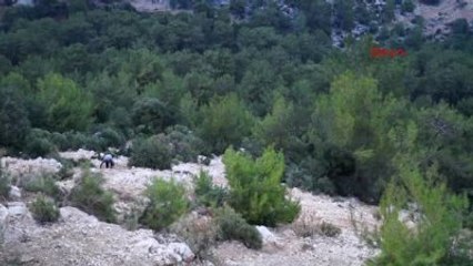 Antalya Suriyeli İşçileri Taşıyan Minibüs Uçuruma Yuvarlandı 6 Yaralı