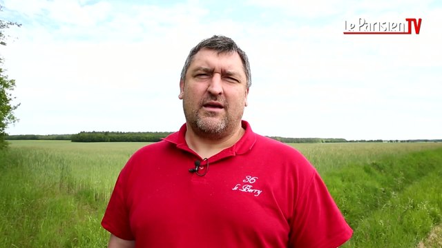 Indre : ces terres agricoles rachetées par la Chine