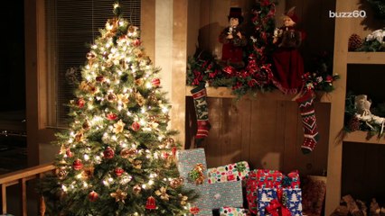 People are Paying for Rocks and It's all Because of a Famous Actor