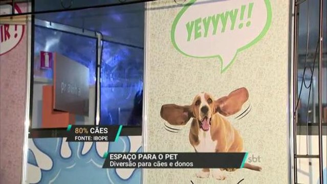 Animais de estimação ganham cada vez mais espaço em shoppings e condomínios