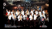 Banda Saucillos - Manuelito y El Negrito (Corridos CJNG 2016)Exclusivo Compa Luny