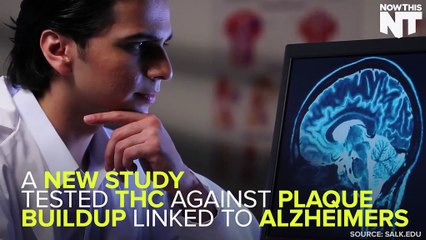 THC Found In Marijuana Can Help Fight Alzheimer's