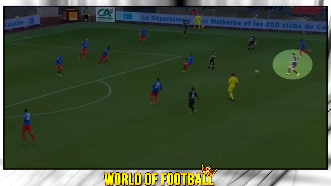 Hatem Ben Arfa, nouveau joueur du PSG - Skills, goals, assists 2015-2016