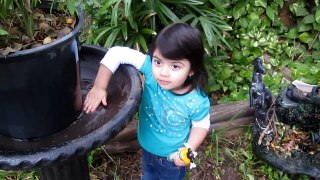 In the garden with grandma-- Saturday, April 26, 2011