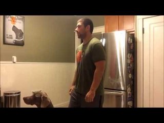 Man Catches Popcorn in Competition With His Dog