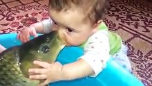 اجمل مقطع لسنة 2016 Beautiful clip for the year 2016 Hermosa clip para el año 2016 Belle clip pour l'an 2016