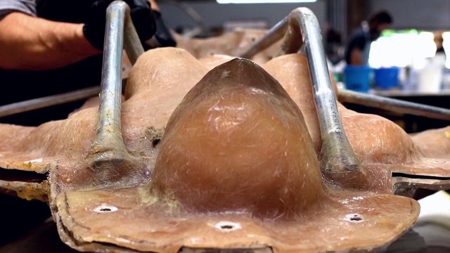 Swiss Army Man Featurette - Making Manny