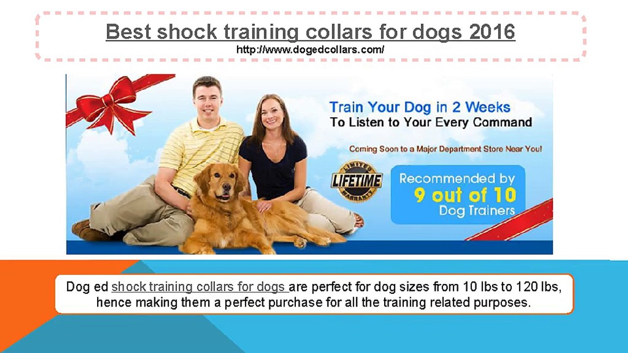 Best shock training collars for dogs 2016