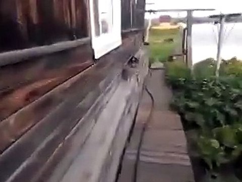 Такого я точно не видел!