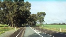 On the road from Yass to Tocumwal in NSW, Australia