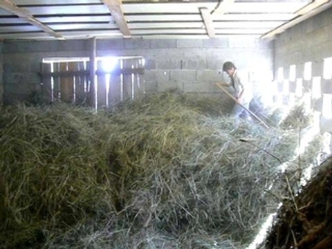 Faire les foins au cheval (Montdenis, Savoie, Maurienne) 6