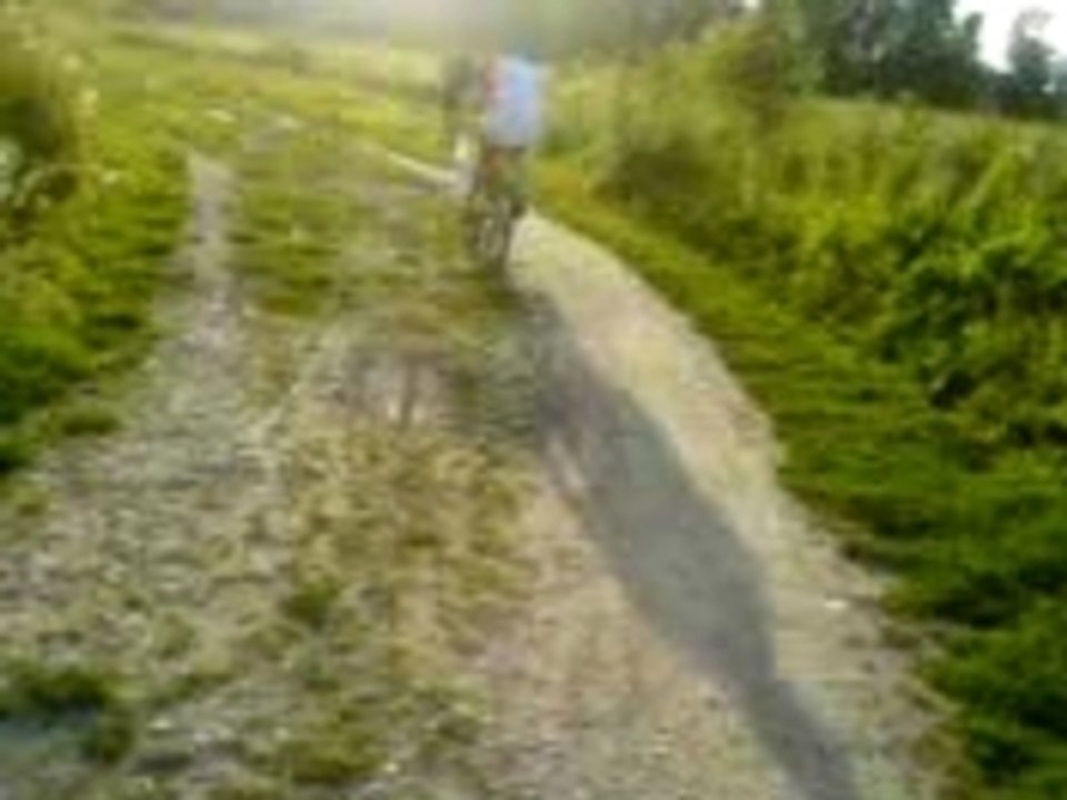 Vélo en foret