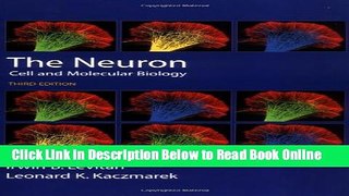 Download The Neuron: Cell and Molecular Biology  PDF Free