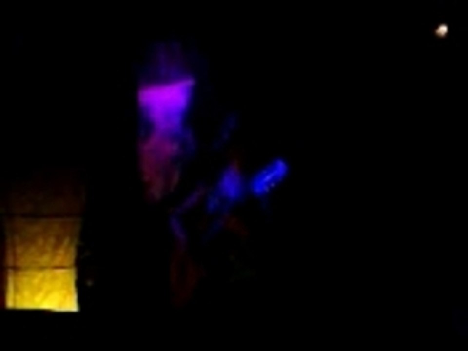 CACTUS IN LOVE - (14 juillet 2007)