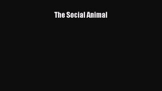 Download Book The Social Animal ebook textbooks