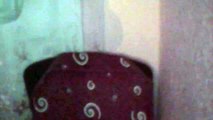 Webcam video from April 29, 2014 12:08 AM