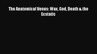Download Book The Anatomical Venus: Wax God Death & the Ecstatic ebook textbooks