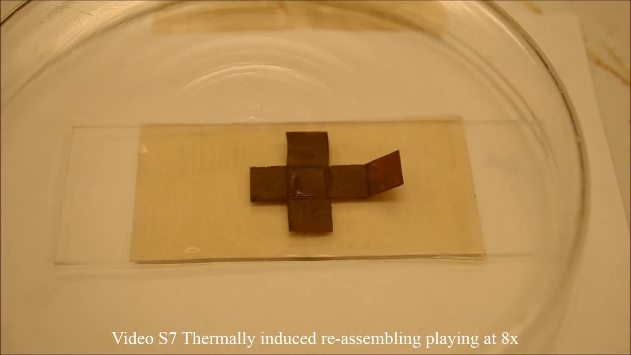 Este material inteligente cambia de forma con la luz y el calor