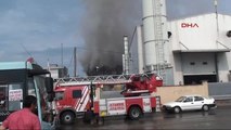 Pendik'te Suni Çim Fabrikasında Yangın