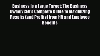 Read Business Is a Large Target: The Business Owner/CEO's Complete Guide to Maximizing Results