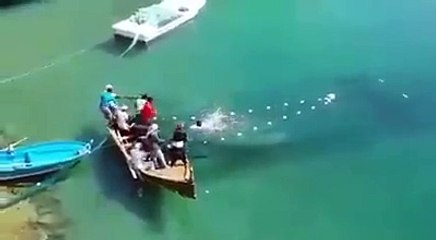 nice way to catch fishes