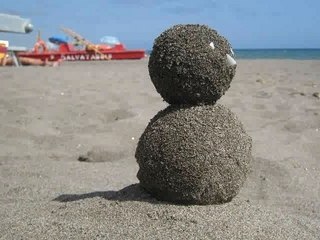 Terminator Project Pescia Romana