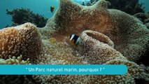La Minute du Parc naturel marin de Mayotte - 