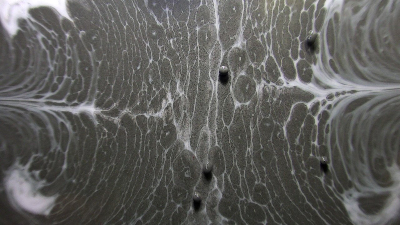 Liquid Sphere Tree