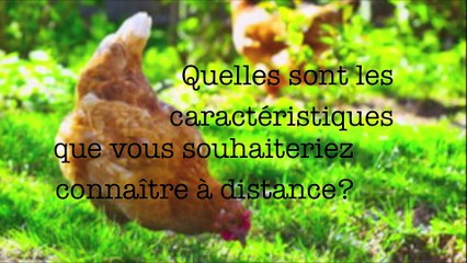 Projet ECOBOX au Centre International de Valbonne