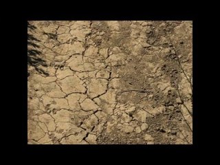 انواع التربة وكيفية تكوين الصخور