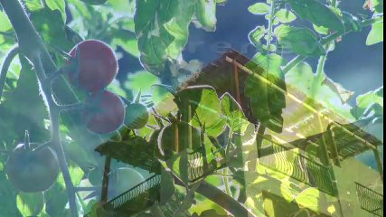 Prana del Mar - Yoga Retreat & Wellness Center