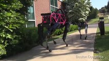 Boston Dynamics'in yeni robot hayvanı: SpotMini