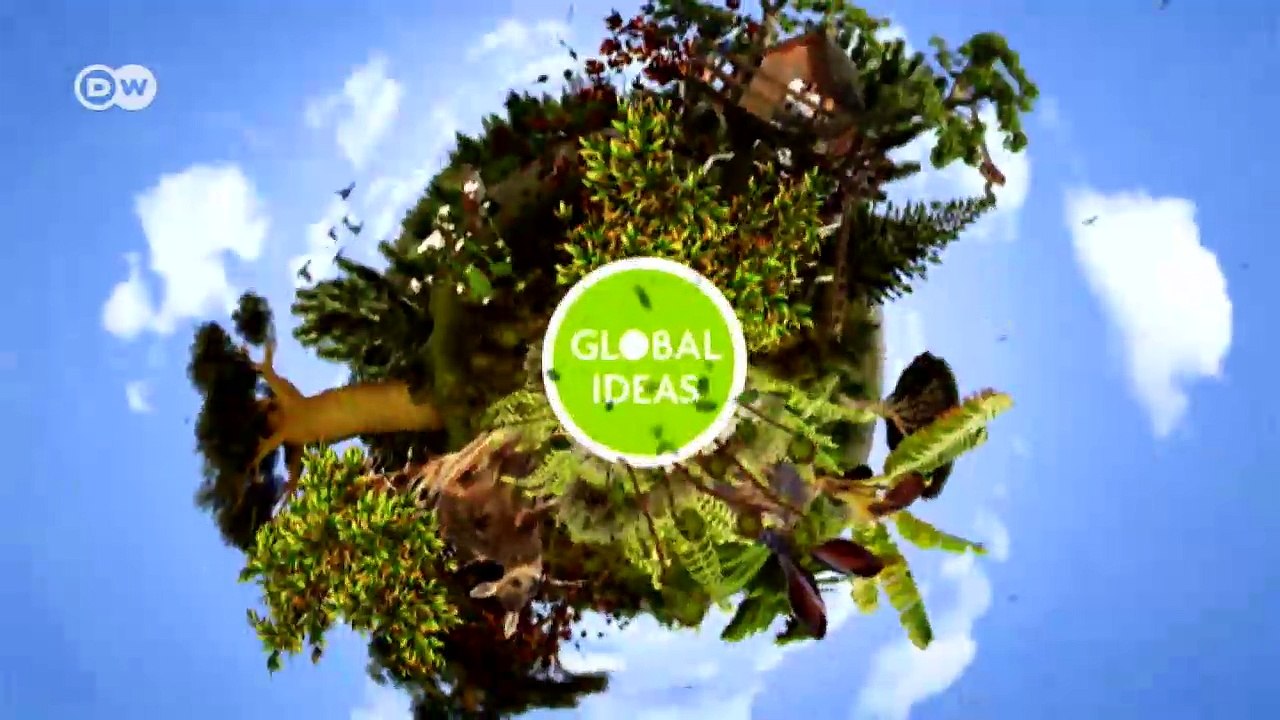 New life in old shrimp ponds | Global ideas