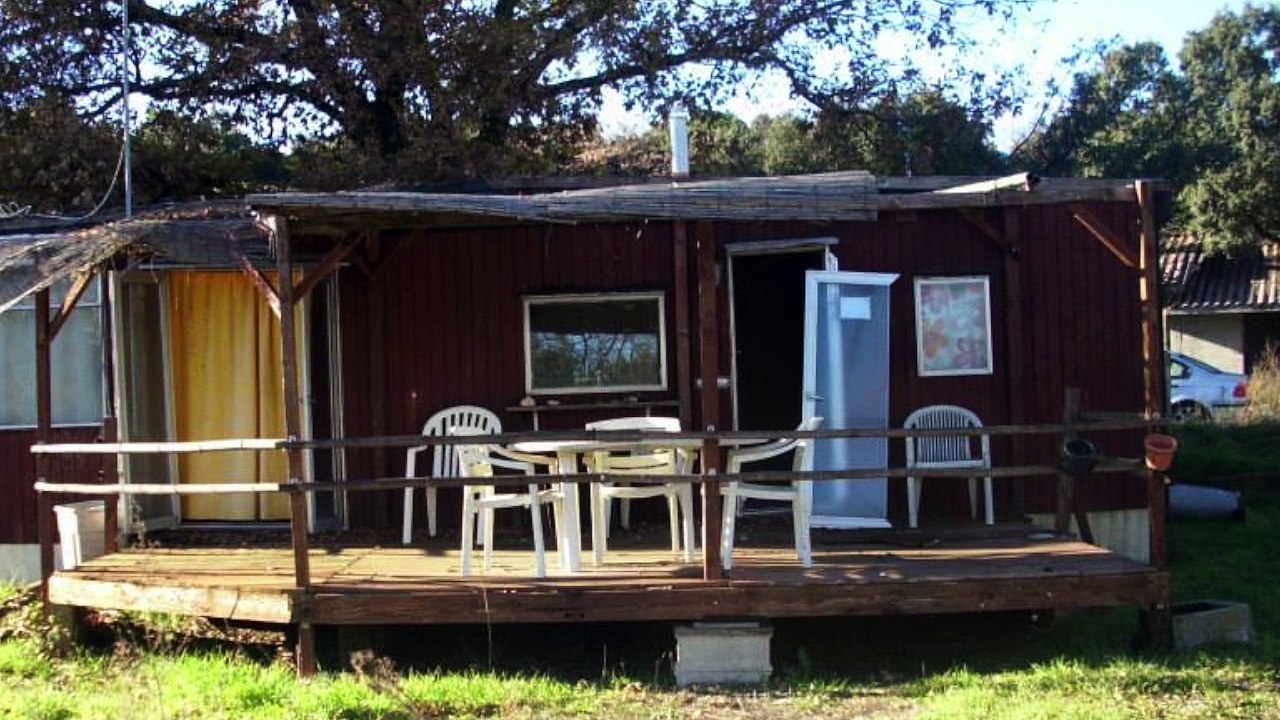 Retrospective à la fermeture du centre equestre de l'écurie du St Loup !