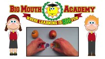 Disney Palace Pets Kinder Surprise Egg Learn-A-Word! Spelling Words Starting With 'E'!  Lesson 3_6