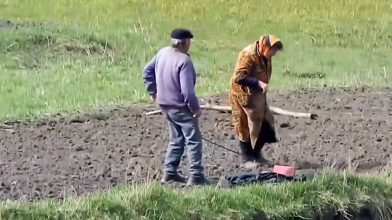 Дед отжигает на огороде!   А ты меня достала!