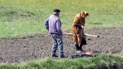 Дед отжигает на огороде!   А ты меня достала!