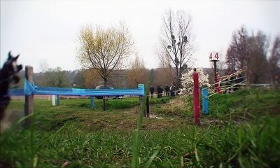 Les Joie de L'Attelage (documentaire)