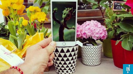 Les plus belles photos du compte Instagram de François Dourlen