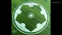 Crop Circles Whitesheet Hill, Stourton, Wiltshire, UK - 29th June 2016 - UFO 2016 UK