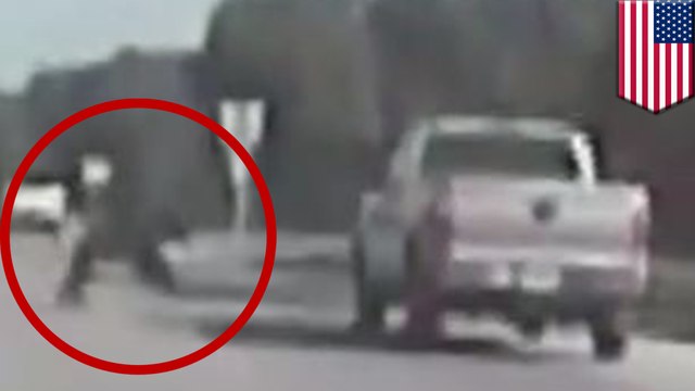 Why did the bear cross the road? To get hit by a pickup truck