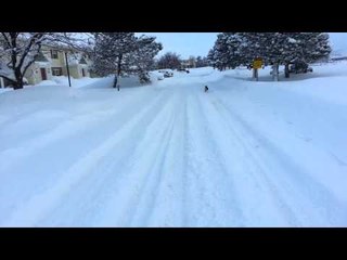 My dog playing on the snow