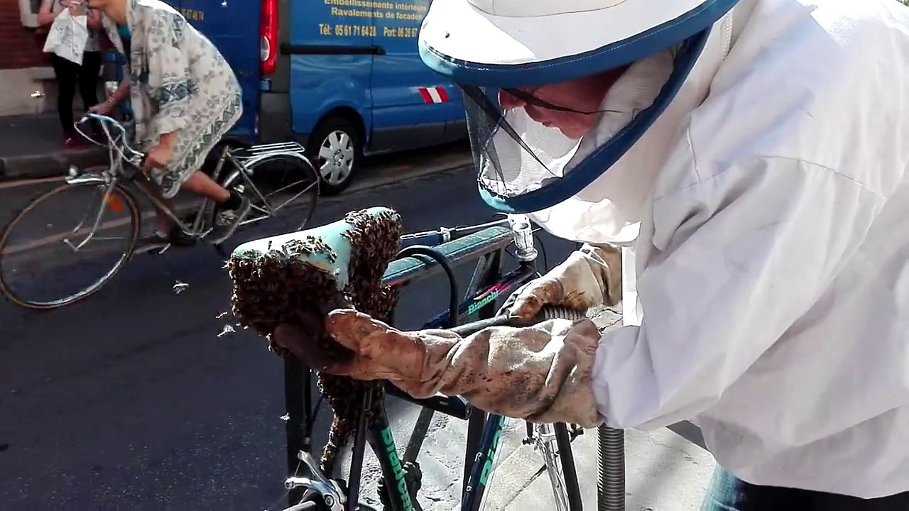 Ce cycliste retrouve un essaim d'abeilles sur son vélo