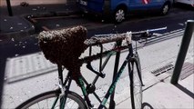 Un essaim d'abeilles recouvre un vélo à toulouse